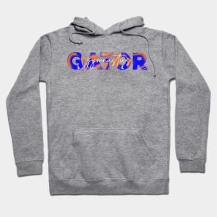 florida gymnnastics Hoodie